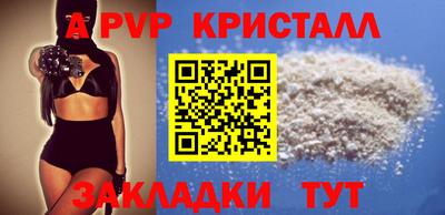 гашик Новозыбков