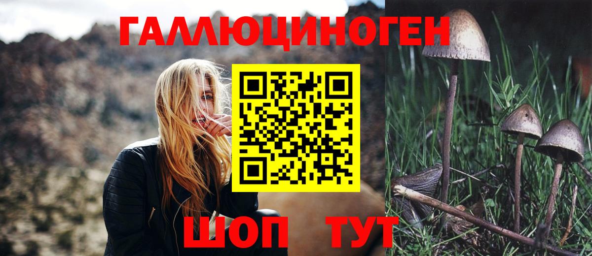 Псилоцибиновые грибы Cubensis Свободный